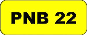 PNB 22