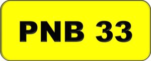 PNB 33