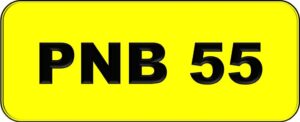 PNB 55