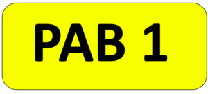 PAB 1